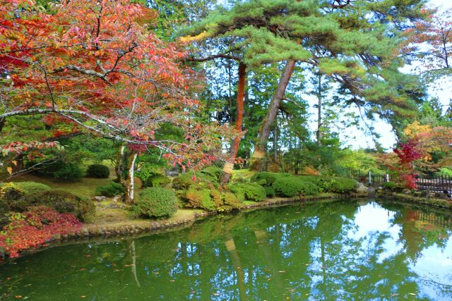 秋の日光山輪王寺庭園