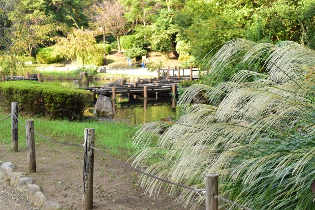 秋の哲学堂公園