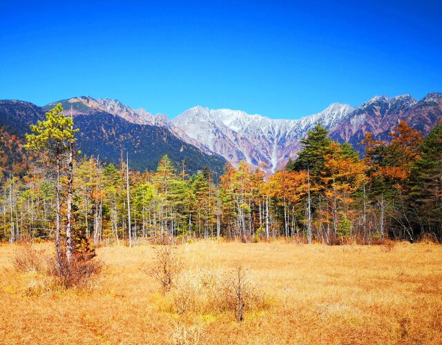 秋の田代湿原