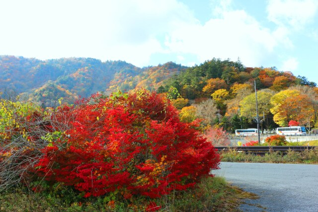 日光紅葉