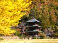 安久津八幡神社