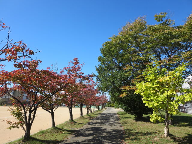 秋の散歩道 2023年