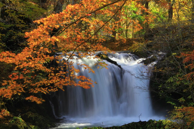 滝に紅葉