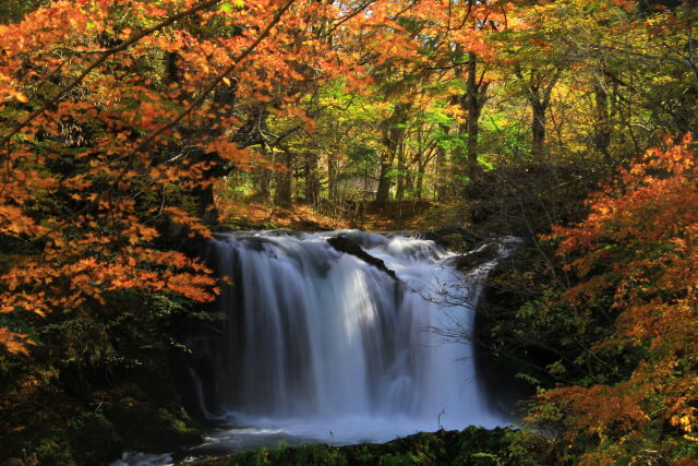 紅葉の景色