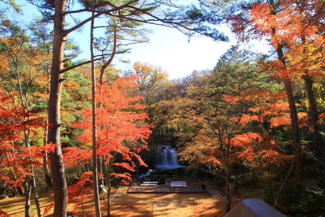 秋の風景