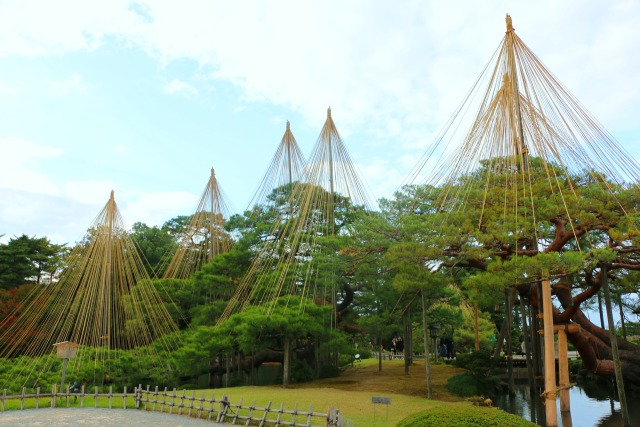 兼六園冬の準備