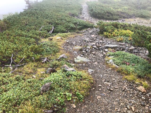 雷鳥の小路