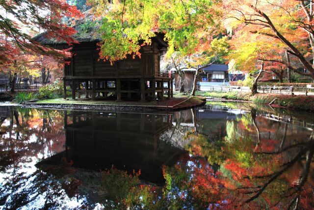 秋の中尊寺