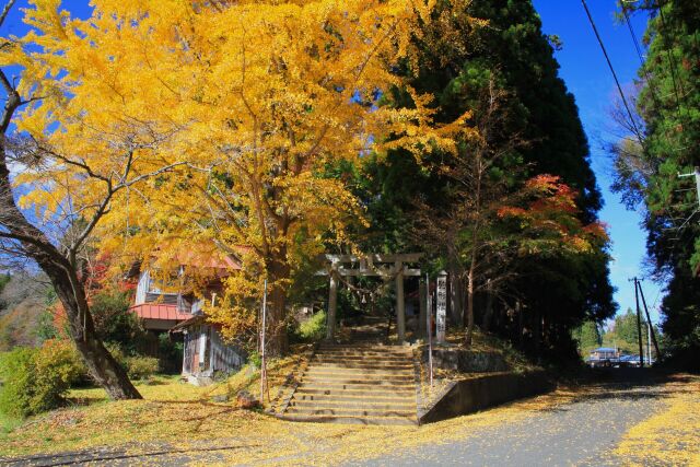 秋の駒形根神社