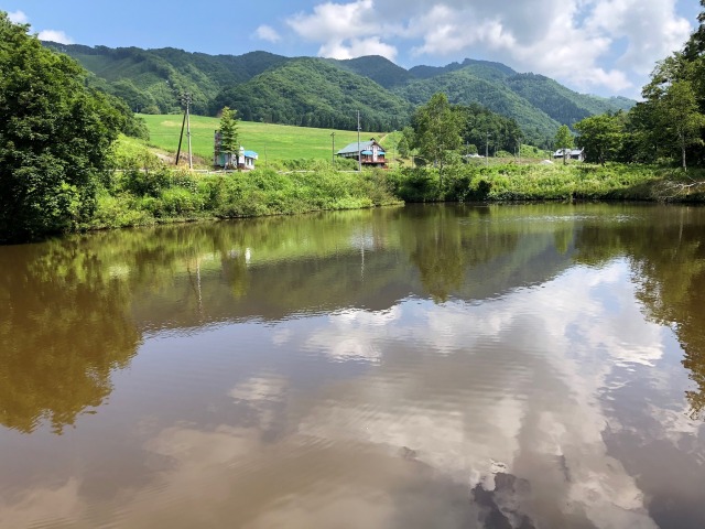 峠の池