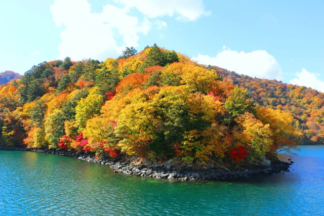 中禅寺湖紅葉