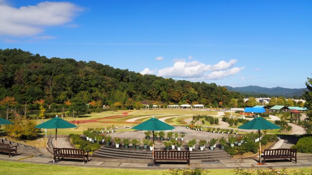 秋の越後丘陵公園