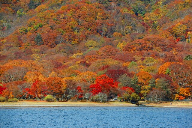 中禅寺湖紅葉