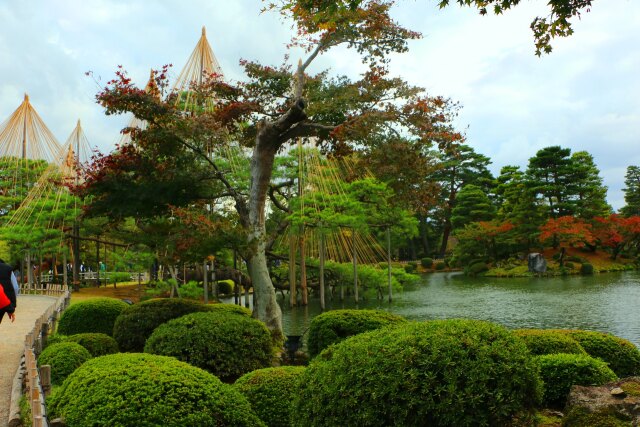 兼六園紅葉