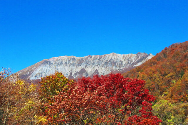 秋 大山 17