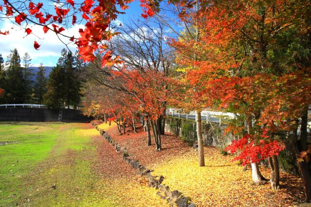 秋の公園