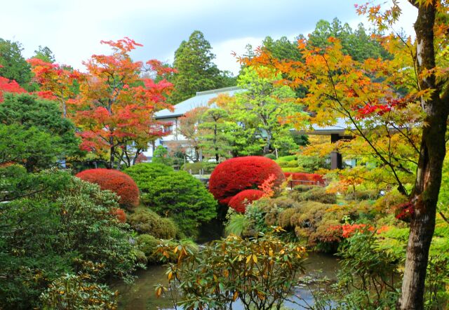 日光山輪王寺庭園紅葉