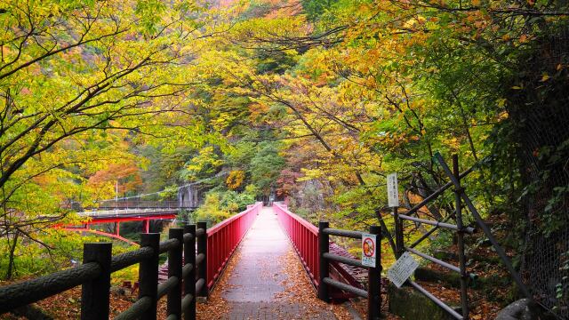 秋の宇奈月温泉