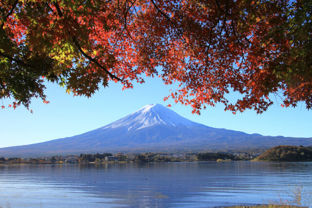 秋の富士山