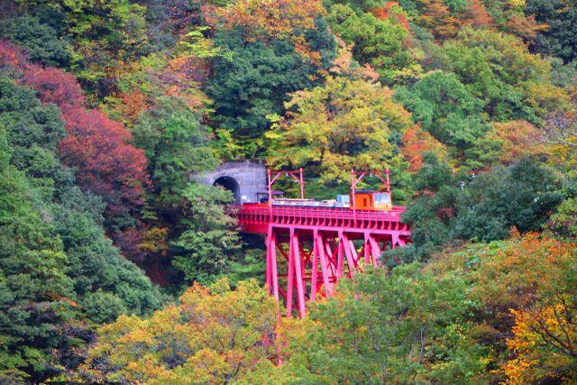 黒部峡谷紅葉