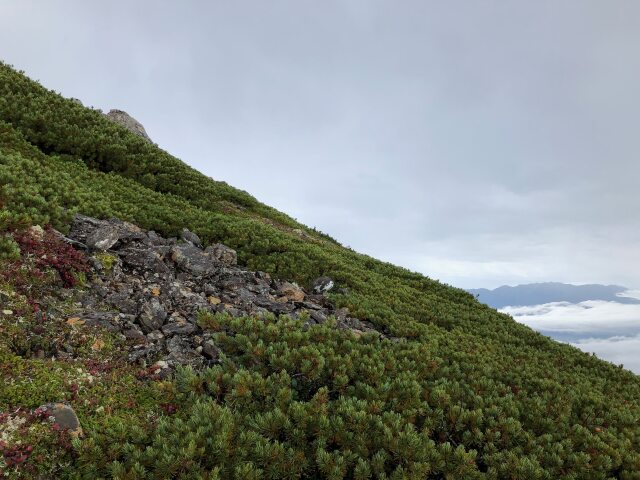 仙丈ヶ岳にて