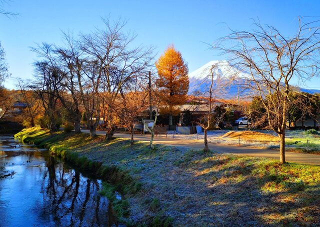 秋の忍野八海