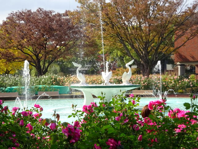 秋の公園の噴水