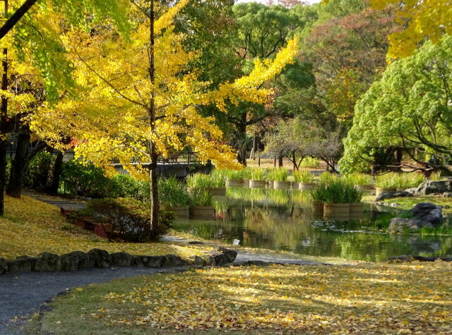 深まる秋の公園で