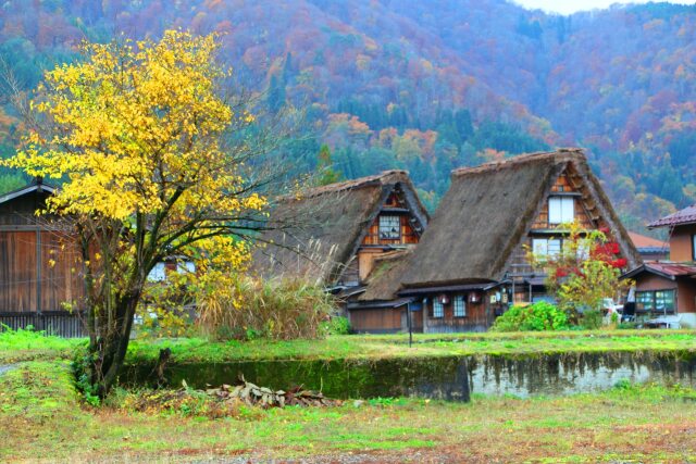 白川郷紅葉