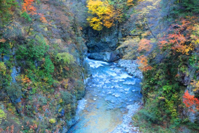 黒部峡谷欅平紅葉