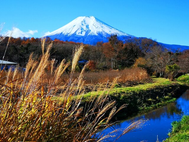 秋の忍野八海