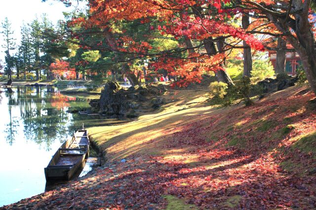 秋の毛越寺