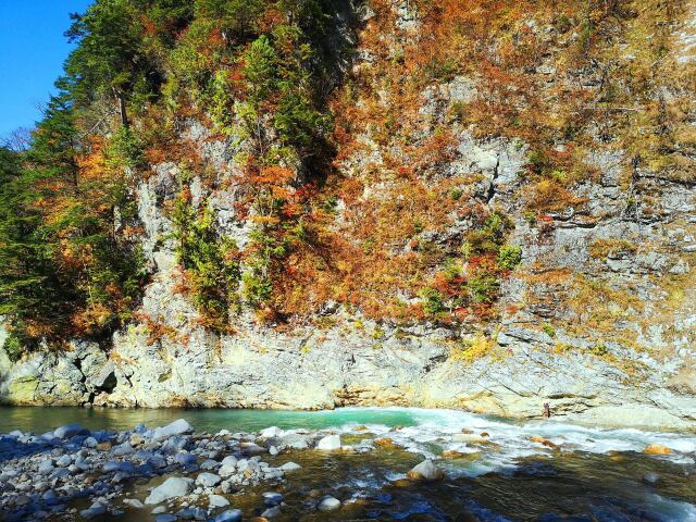 黒部峡谷欅平紅葉