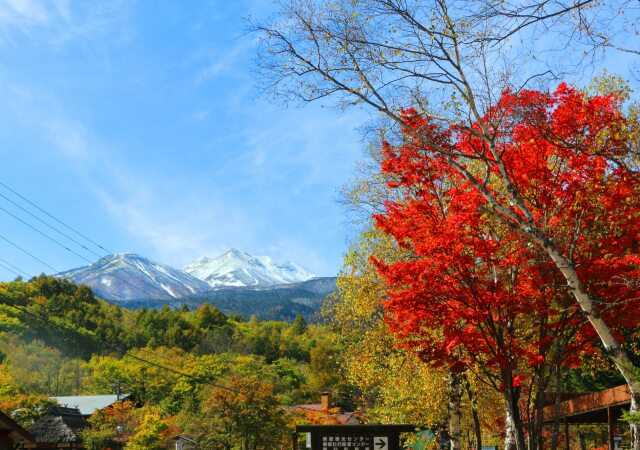 乗鞍高原紅葉