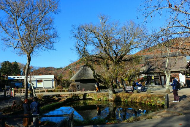 秋の忍野八海