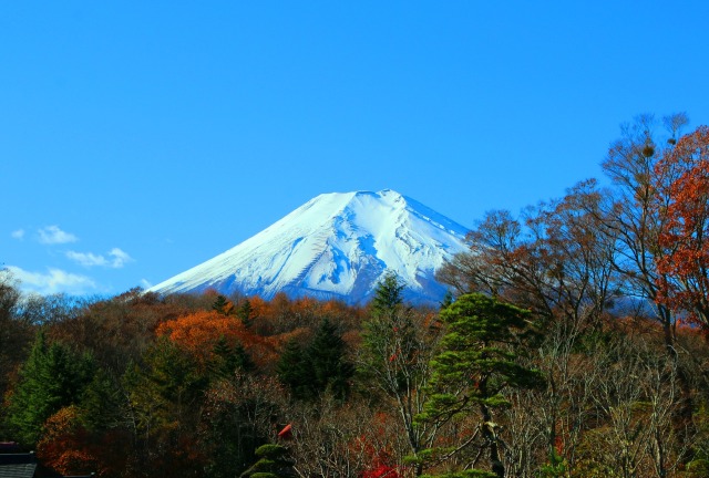 秋の忍野八海