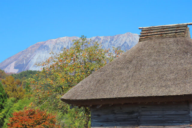 茅葺き屋根と秋の大山