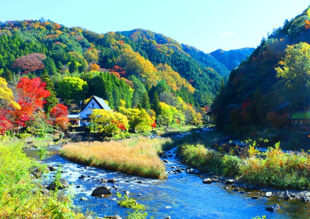 香嵐渓紅葉