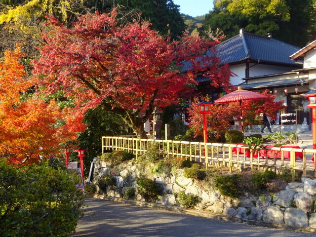 里山の秋を訪ねて