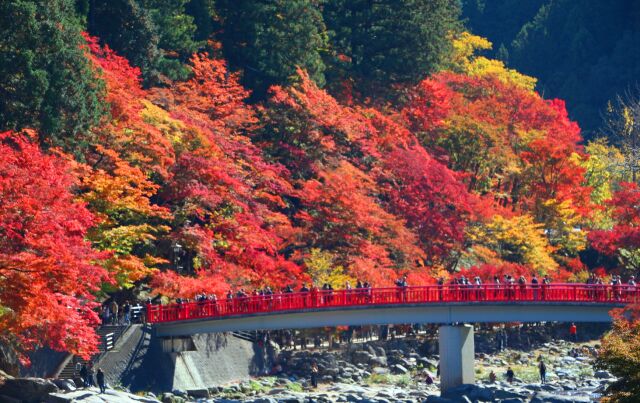 香嵐渓紅葉