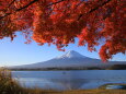 富士山に紅葉