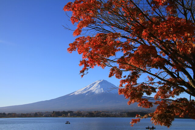 富士山&紅葉