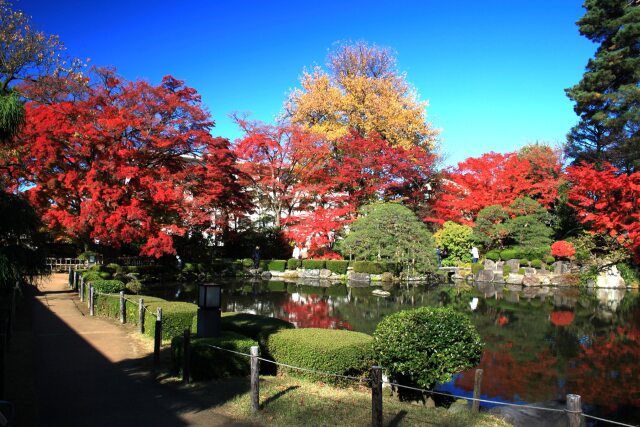 もみじ公園