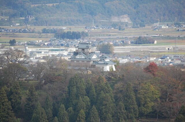 誰か居るの？ 2023年