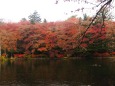 雲場池の紅葉