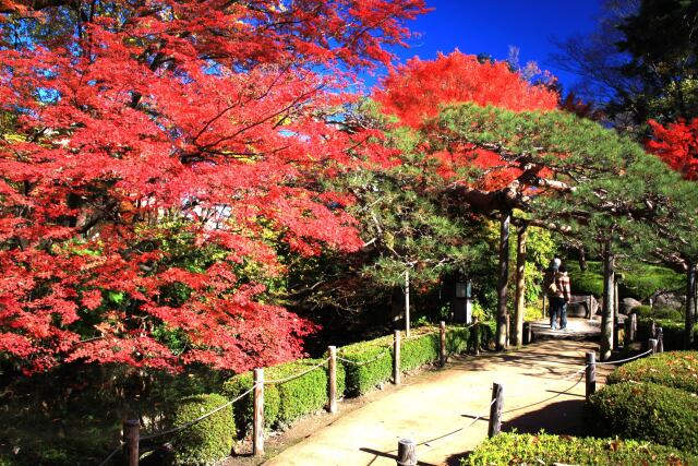 もみじ公園