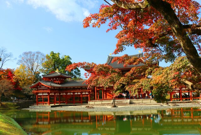 平等院鳳凰堂紅葉