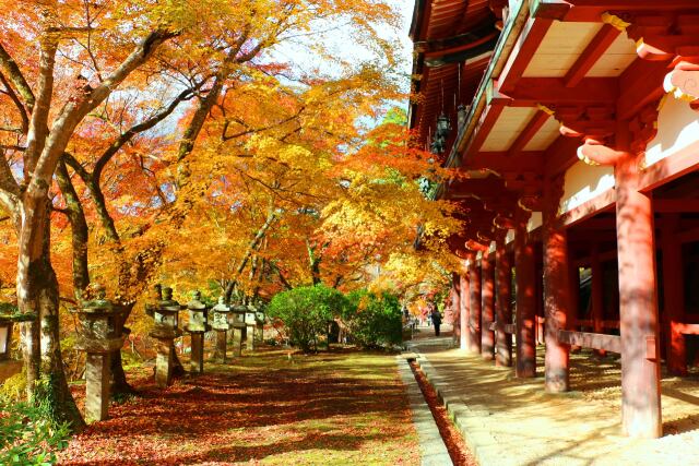 談山神社紅葉