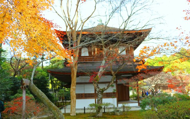 銀閣寺紅葉