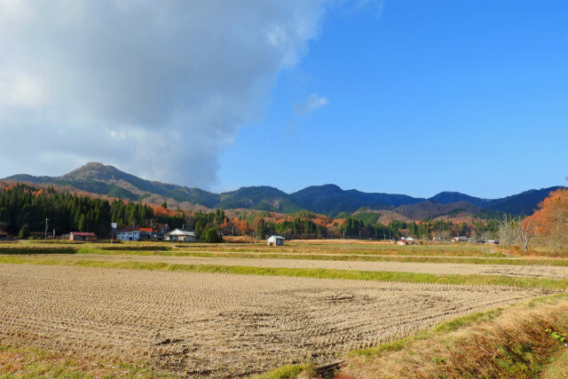 晩秋 山里 2